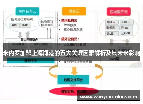 米内罗加盟上海海港的五大关键因素解析及其未来影响